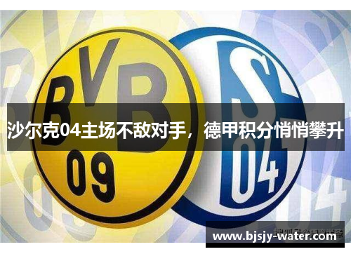 沙尔克04主场不敌对手，德甲积分悄悄攀升