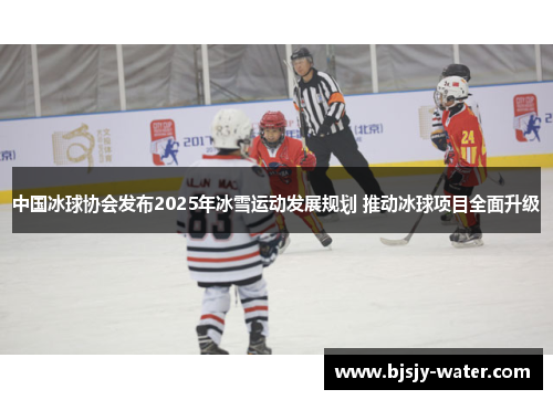 中国冰球协会发布2025年冰雪运动发展规划 推动冰球项目全面升级